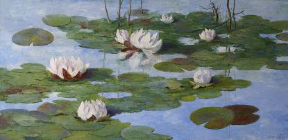Water lilies on a pond