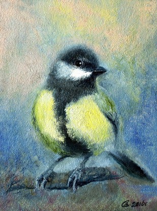 Titmouse