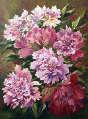 Peonies