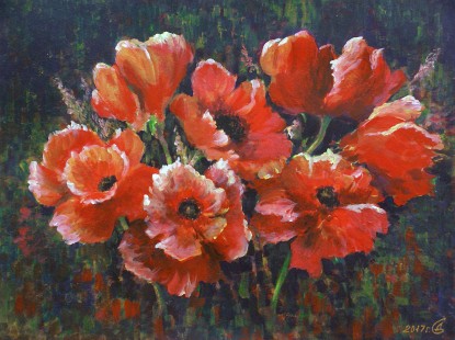 Red poppies
