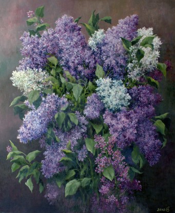 Lilac blooms