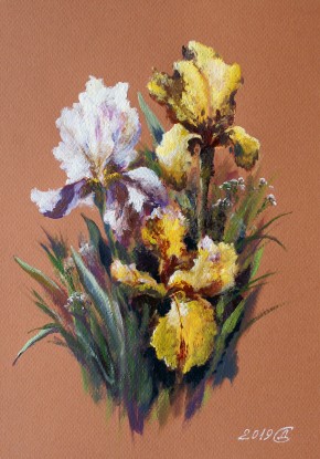 Irises