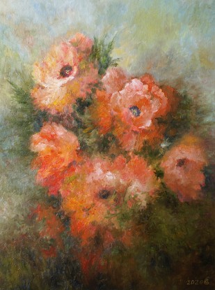 Poppies are blooming