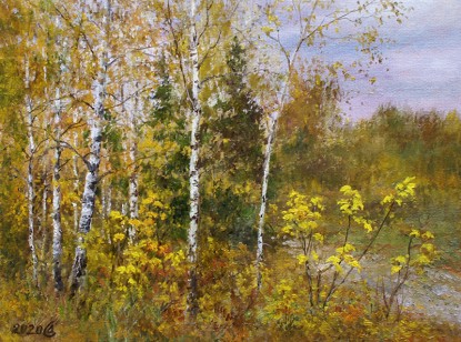Autumn birches