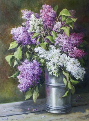 Lilac may