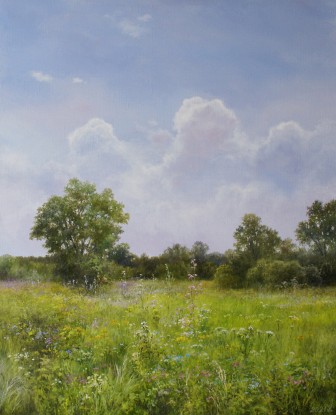Summer meadow