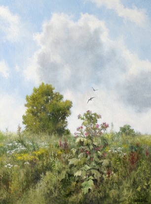 Summer day in the meadow