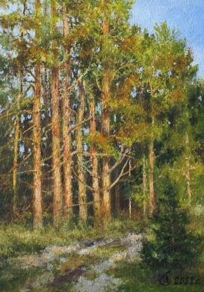 On the edge of the sun