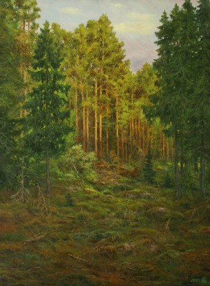 The sun on the edge of the forest