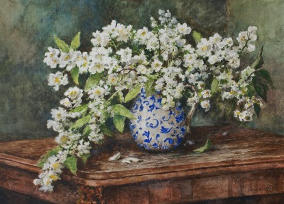 A branch of jasmine