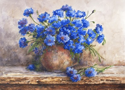Cornflowers